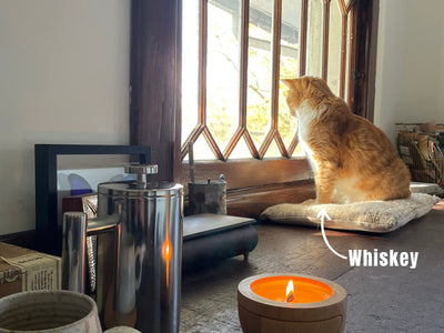 Pet Safe Candles: Complete Guide for Cat & Dog Owners