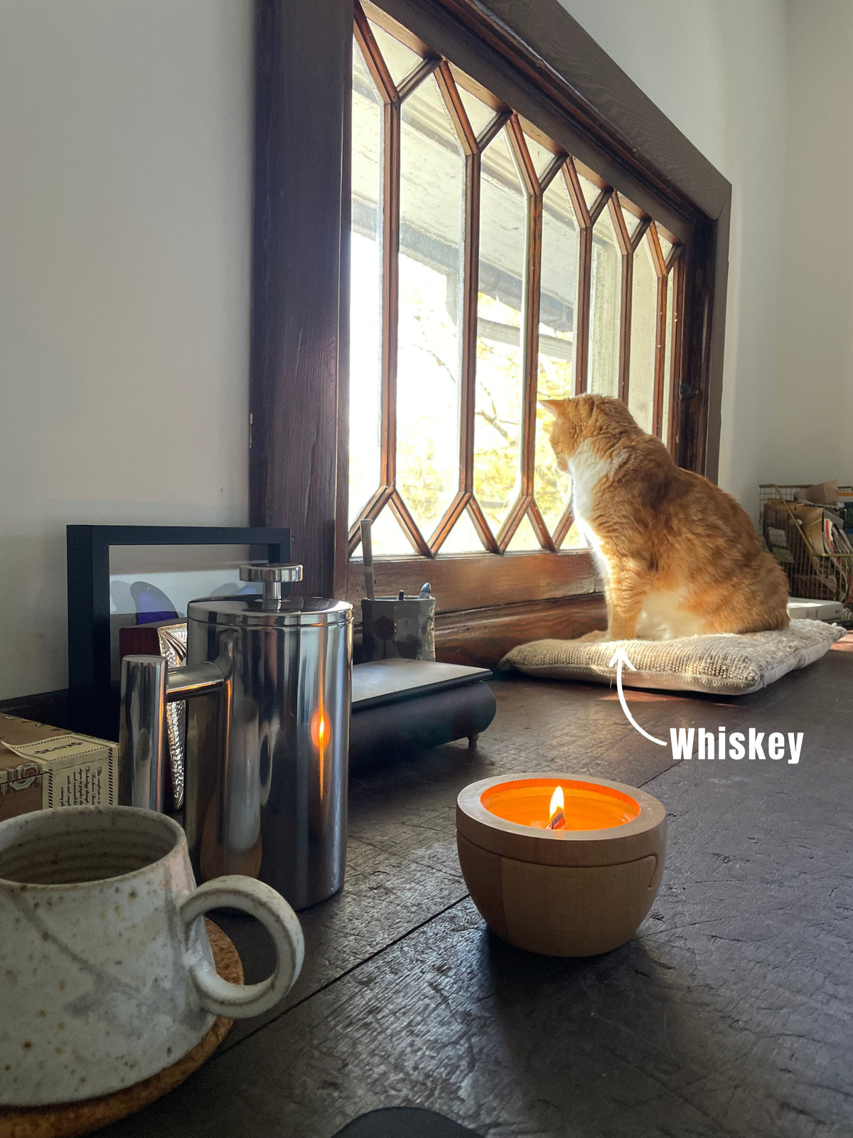 Pet Safe Candles: Complete Guide for Cat & Dog Owners