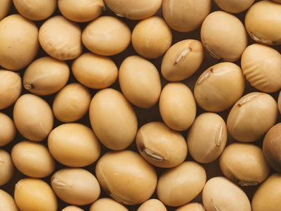 Are Soy Candles Safe? What the Label Does Not Tell You