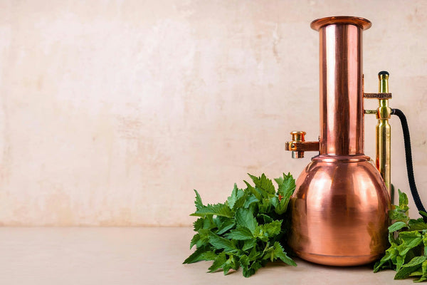A copper distillation still beside fresh mint sprigs on a soft cream surface — botanical extraction in process.