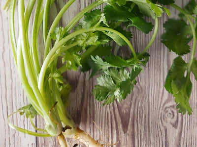Why Cilantro Tastes Like Soap (And What It Means for How You Smell Candles)
