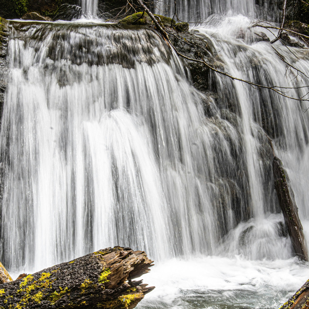 A forest waterfall over mossy rock, the kind of specific place a single smell can return you to.